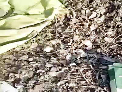 Dead soldiers in Ukraine 