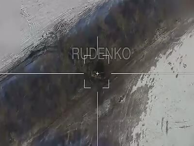 More Uke artillery destroyed by Grannyphart drone