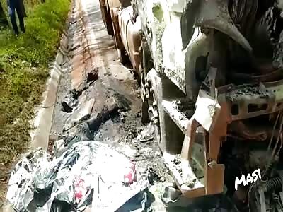 Dead near the sidewalk.