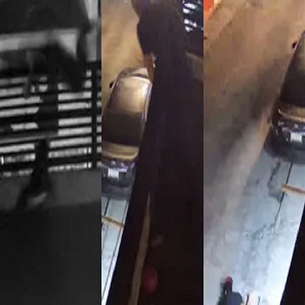 Dog Ruins Home Invasion