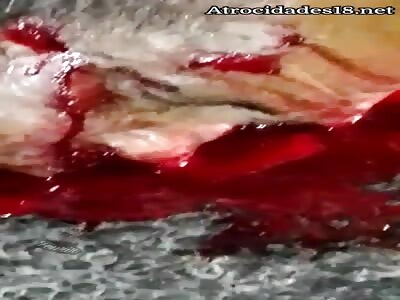 motorcyclist dies glued to the asphalt