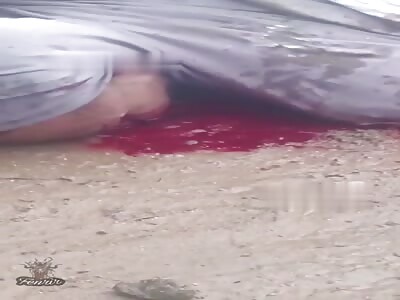 The victim of theft pursues the thieves and gets justice.