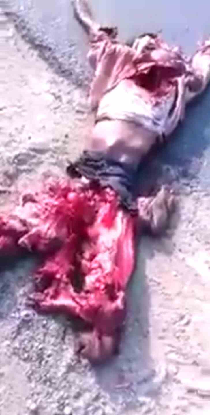 Body completely mangled