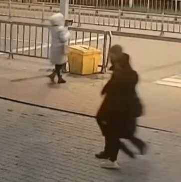 Lady Obliterated at a Zebra Crossing