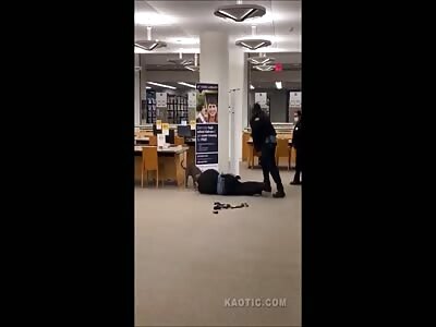 Animal Attack Compilation 