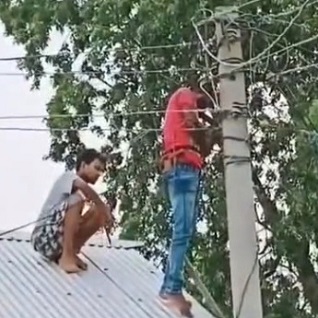 An Electrifying Friendship