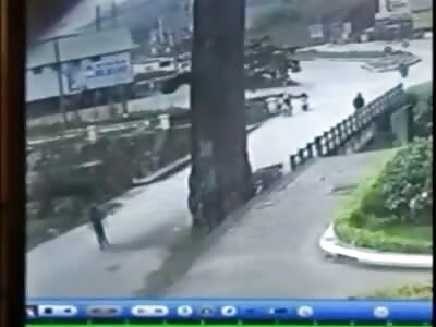 Crushed by falling branch