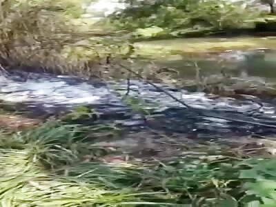 AFTERMATH OF ELECTROCUTED FISHERMAN.