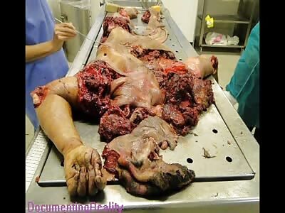 Extreme Brutal Gore compilation-Rough World Series