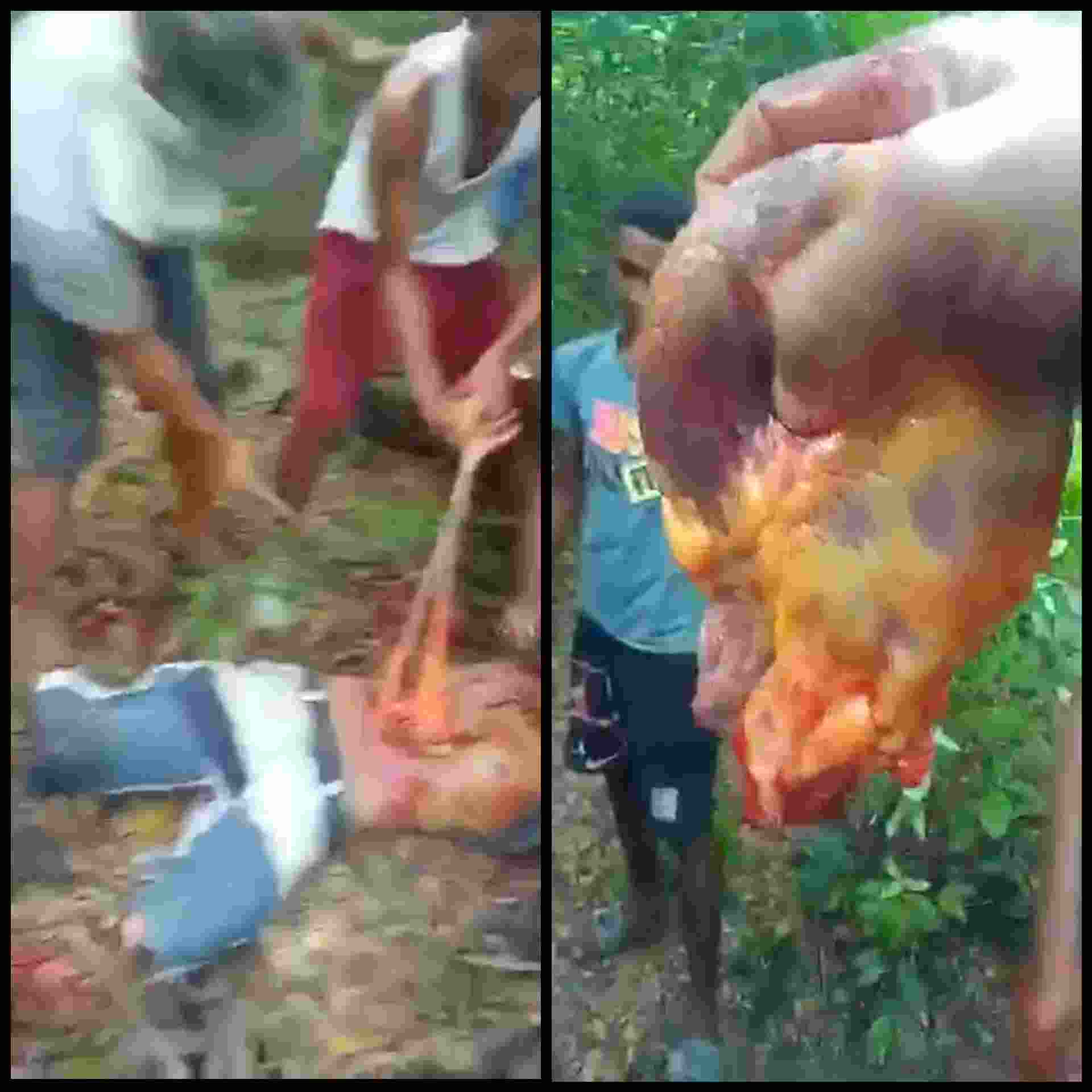 Another Gore Overdose - compilation 9, vol2