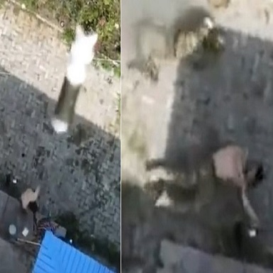 Russian Soldier Got a Surprise II