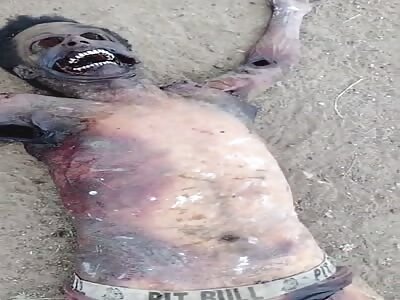 Corpse Found in Rural Area in Advanced State of Decomposition