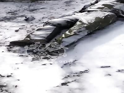 The first snowdrops in Ukraine (many frozen orcs)