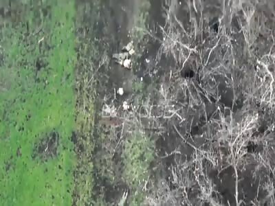 More dead Wagner garbage in Bakhmut