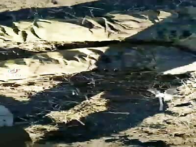 Several dead russians