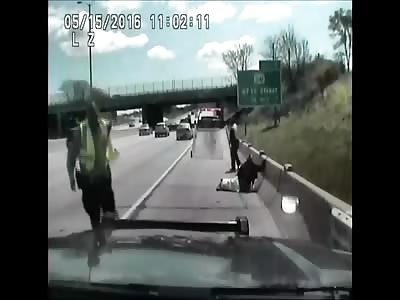 Woman Hits Mom With Car Trying to Escape Police