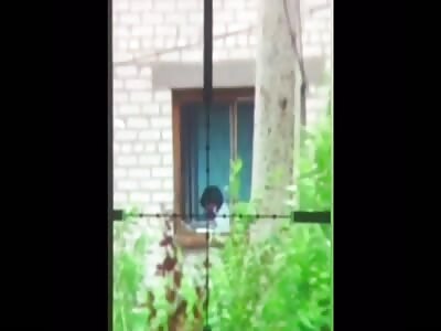 Face of War 2: A short compilation of my favourite combat vids #2 