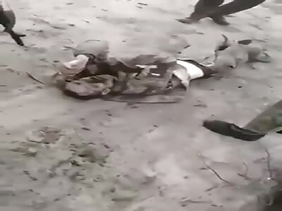 Russian display of absolute carnage