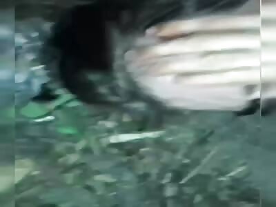 Russian Punishment #8