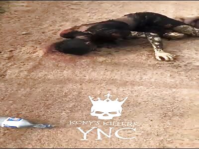 Burned to death and left to rotten 