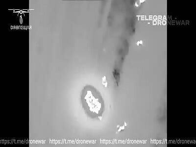 Killing ants with olives