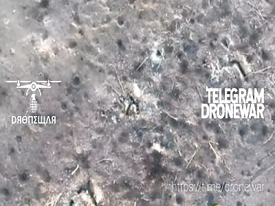 Perfect grenade hit on orc trench