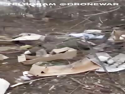 Another dead body...