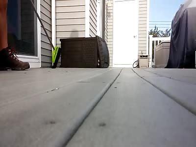 Don't Piss Off Nature's Critters (wait for it) 