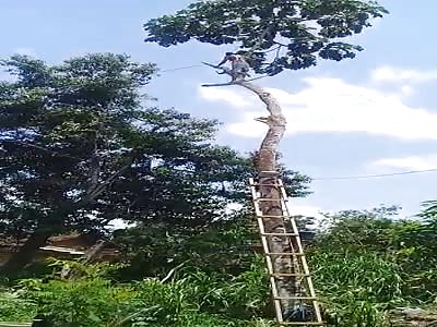 the revenge of nature