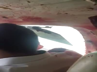 Crow crash air plane 