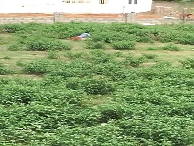 Jesus, Jesus.... Jesus 