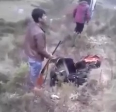 Robber Was Caught and Executed With a Headshot in Front of a Crowd