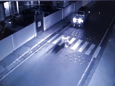   Woman  Dies in Hit and Run