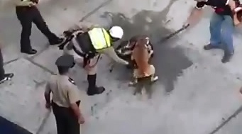 The Power of a Pitbull..Mob Works Hard to get Pitbull to Let Go of a Smaller Dog 