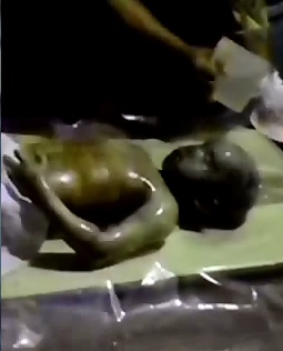 Cleaning Up a Rotten Kid 