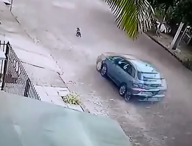 Man Runs Over (Twice) and Kills the Dog that Allegedly Killed his Child..