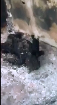 Aftermath Scene of Man  who Killed his Wife by Burning Her in the House