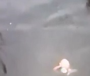 Dead and Pregnant Woman comes Floating By..