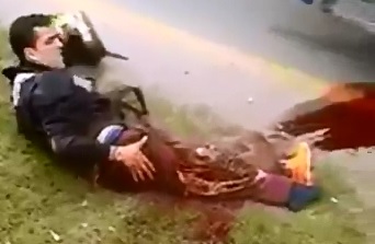 Still Wide Awake and Alert with his Leg Shredded Apart 