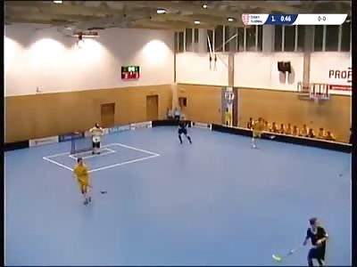 Sports Hall Collapses under Snow Load 