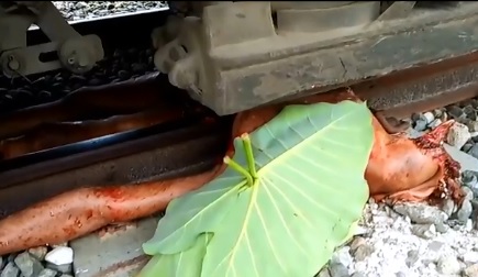 Man in multiple Pieces after Train Suicide 