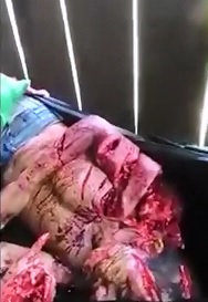 FOund in a Garbage Bag..Man Shredded..Shredded into Little Pieces in s Plastic Garbage Bag