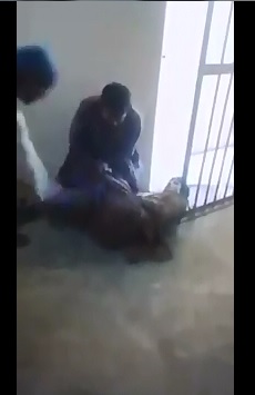 Controversial Video shows Pakistani paramilitary force beating boy student