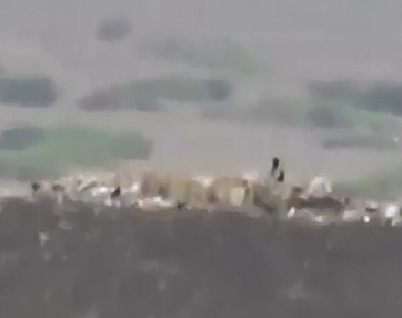 Long Distance Sniper Nails Victim from 1000 Yards Away 