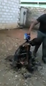 Disgusting Video shows Woman Bathed in Shit and Piss to Humiliate 