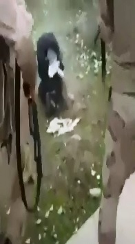 Happens Fast....2 Blindfolded Men are Executed and Fall into their Graves in the Dirt 