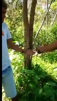 Both Hands....Both Hands this Time Shot right Through Them 