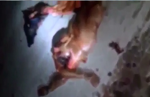 Gorey Accident leaves Body parts I dont even Know what they are 