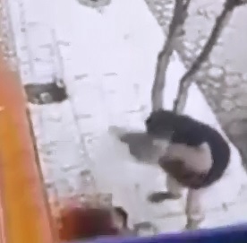 DISGUSTING Fat Woman Stones a Homeless Man with a Cement Block 