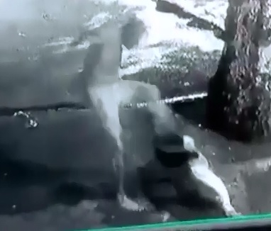 Crazy Russian Beats the Shit out of his Girlfriend Outside Nightclub 